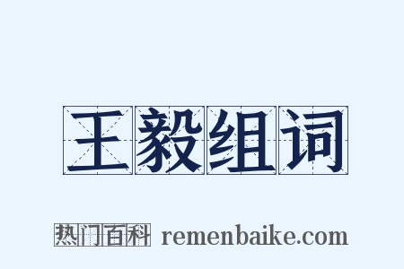 王毅组词是什么意思的图片